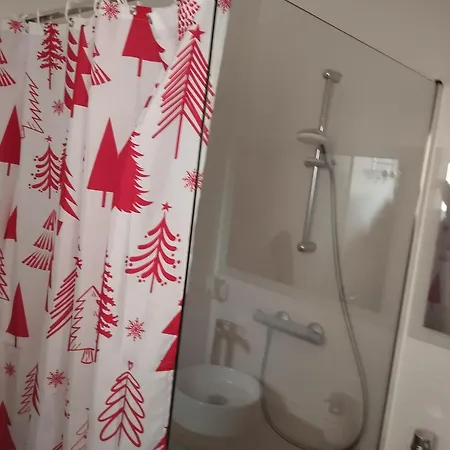 Apartamento De 3 Pieces, Colmar