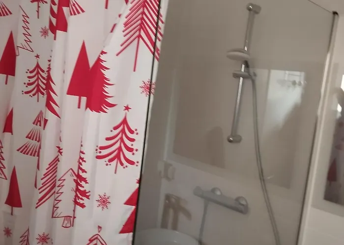 Appartement De 3 Pieces, Colmar